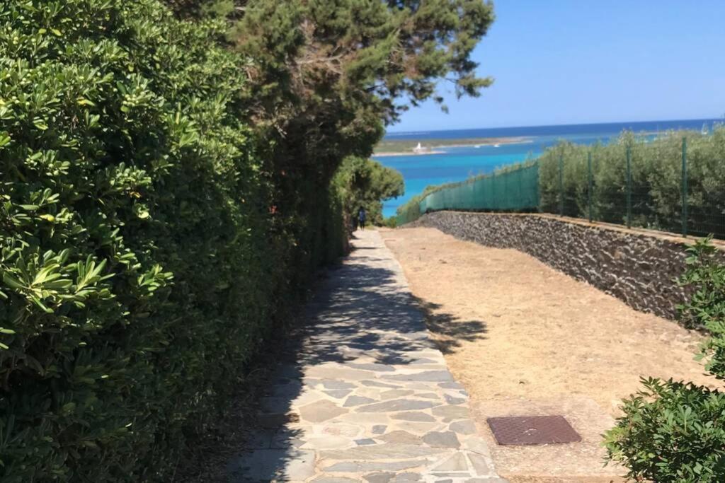 Pelosa - Capo Falcone Excellent Apartment スティンティーノ エクステリア 写真