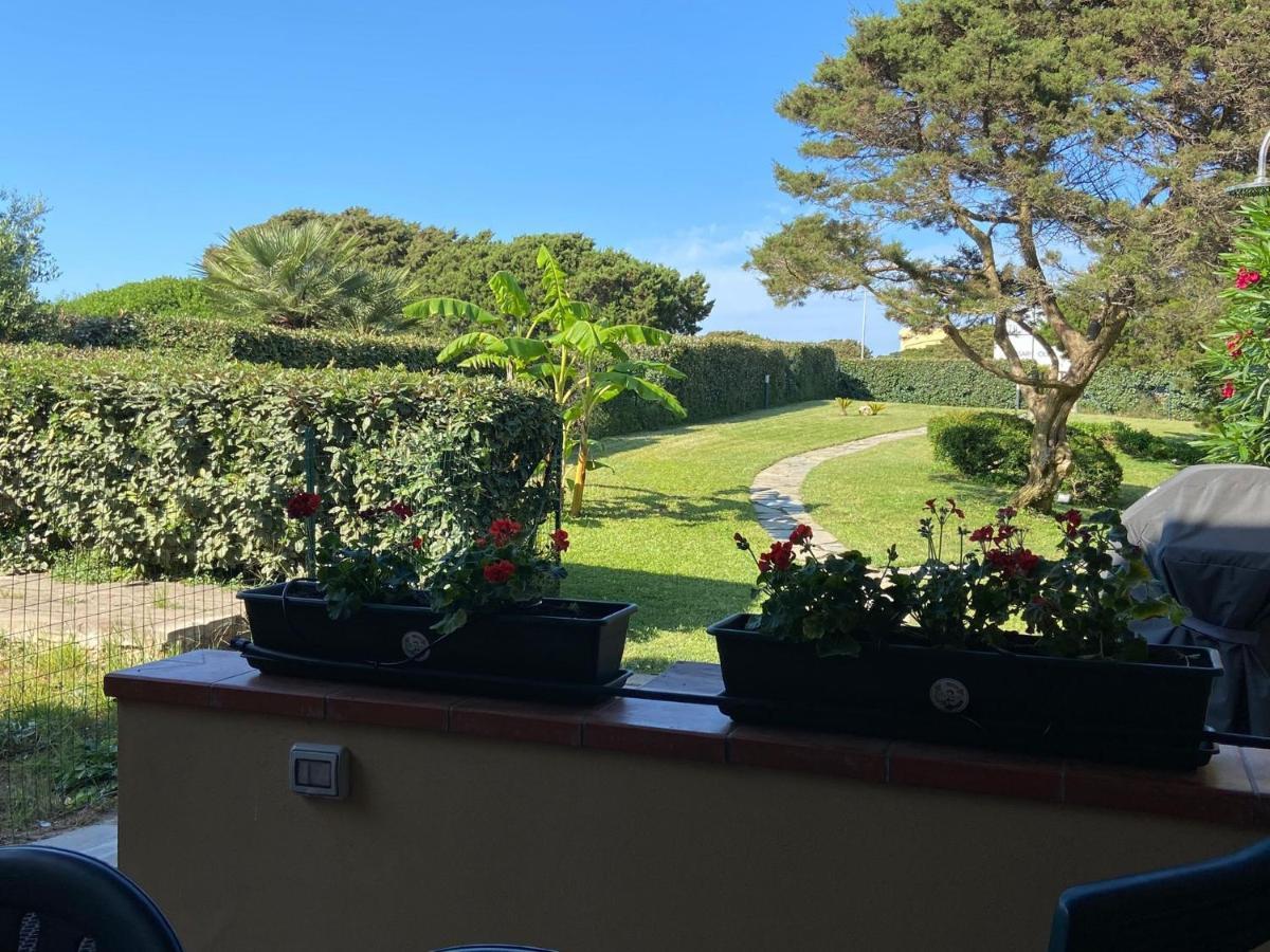 Pelosa - Capo Falcone Excellent Apartment スティンティーノ エクステリア 写真