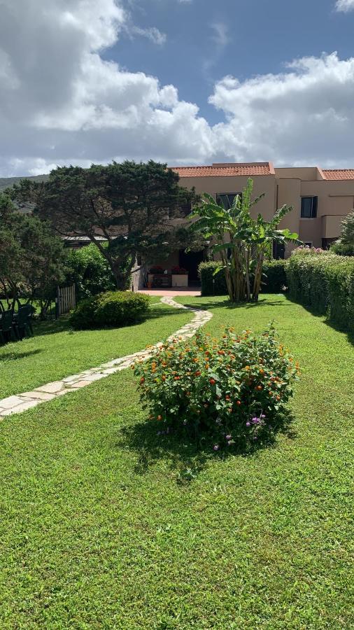 Pelosa - Capo Falcone Excellent Apartment スティンティーノ エクステリア 写真