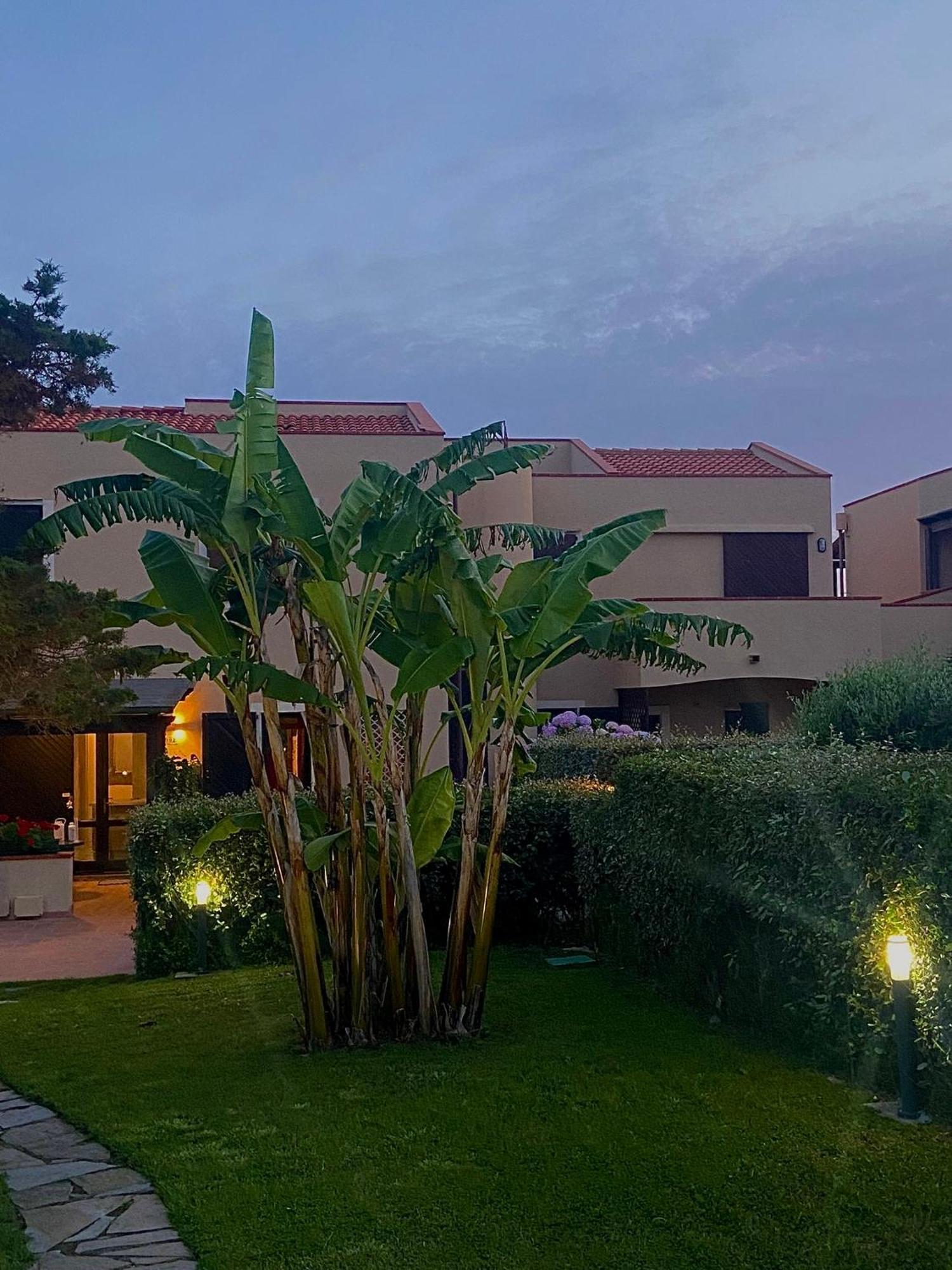 Pelosa - Capo Falcone Excellent Apartment スティンティーノ エクステリア 写真