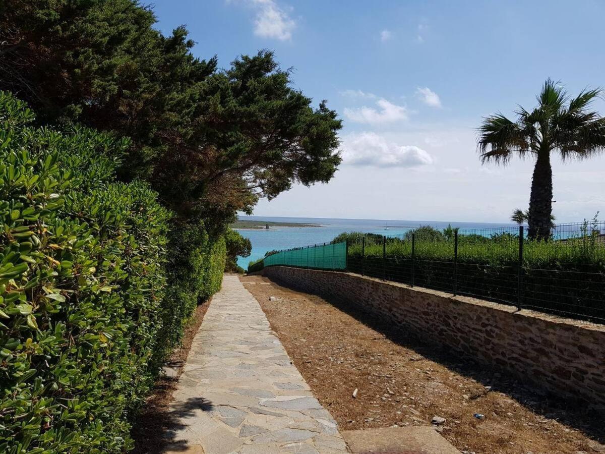 Pelosa - Capo Falcone Excellent Apartment スティンティーノ エクステリア 写真