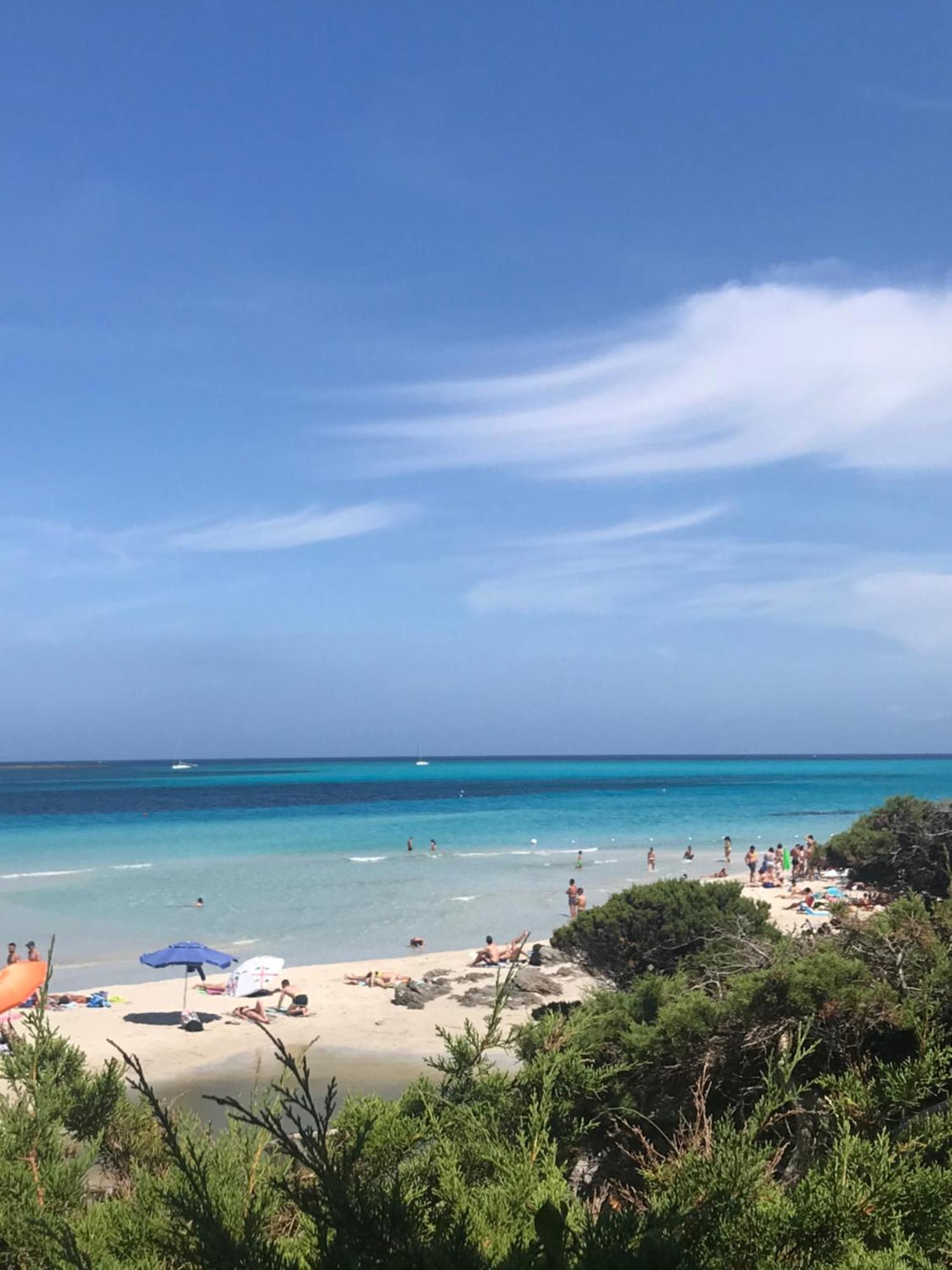 Pelosa - Capo Falcone Excellent Apartment スティンティーノ エクステリア 写真